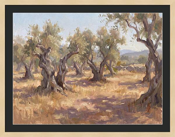Serene Olive Orchard