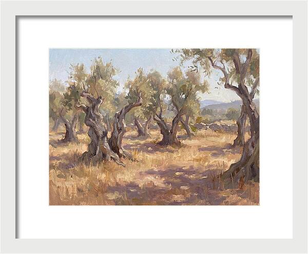 Serene Olive Orchard