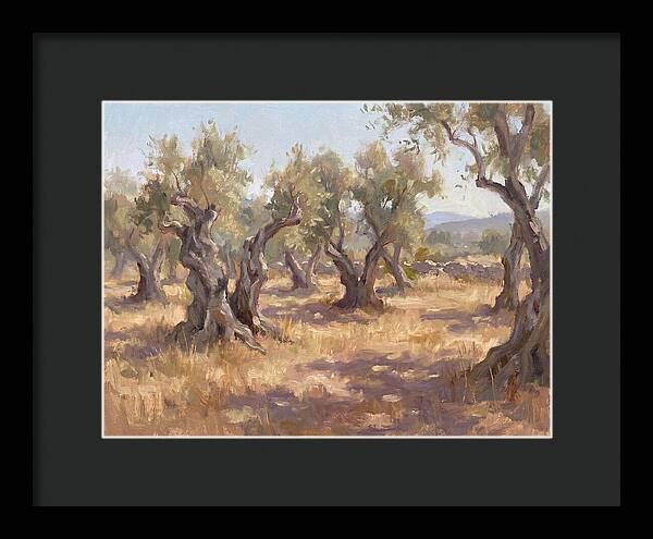 Serene Olive Orchard
