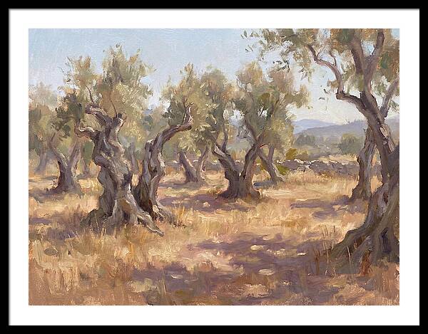 Serene Olive Orchard