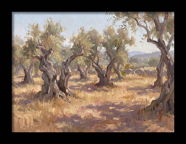 Serene Olive Orchard