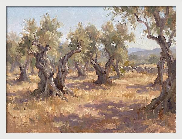 Serene Olive Orchard