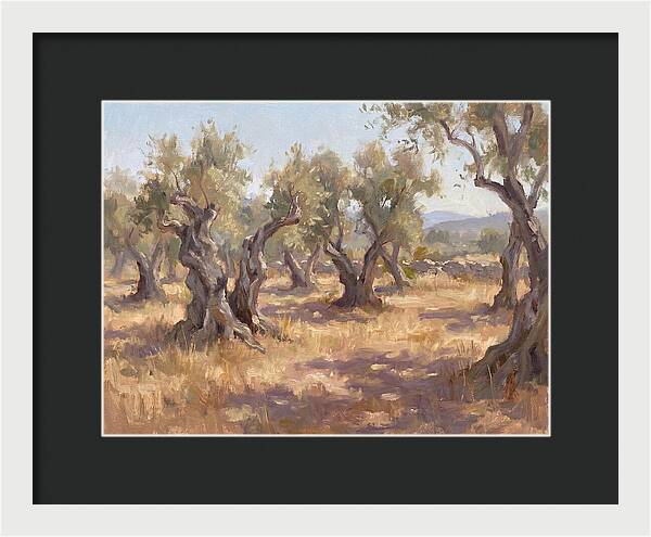 Serene Olive Orchard