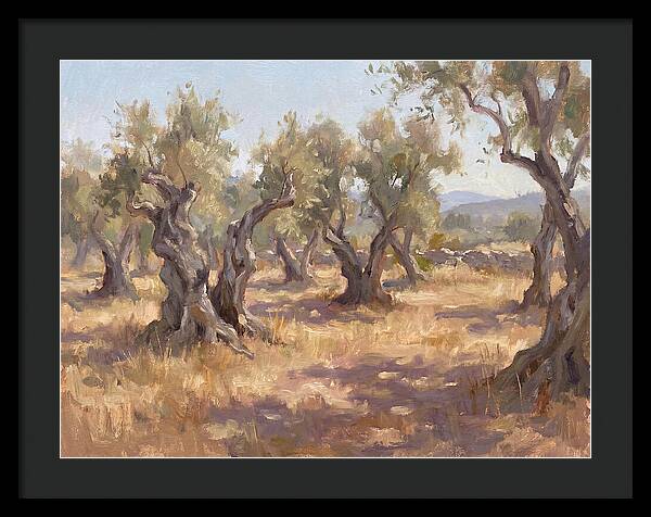 Serene Olive Orchard