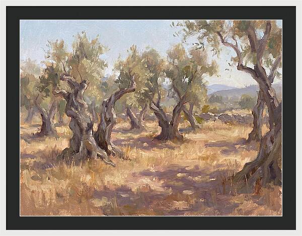 Serene Olive Orchard