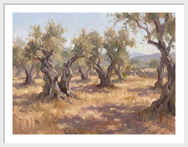 Serene Olive Orchard