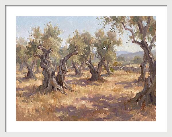 Serene Olive Orchard
