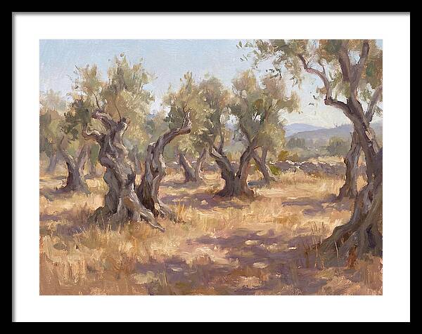 Serene Olive Orchard