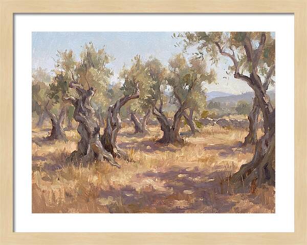 Serene Olive Orchard