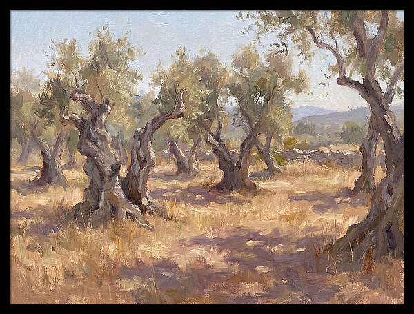 Serene Olive Orchard