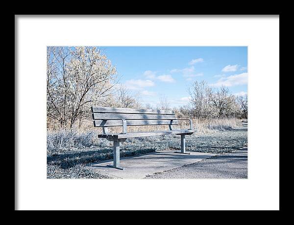 Serene Park Bench
