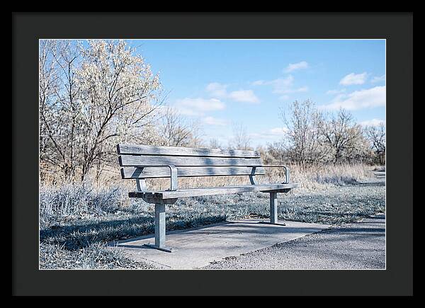 Serene Park Bench