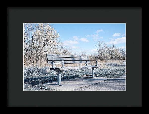 Serene Park Bench