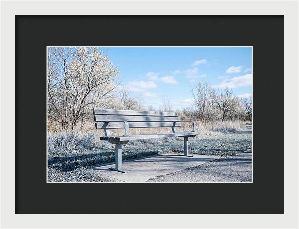 Serene Park Bench