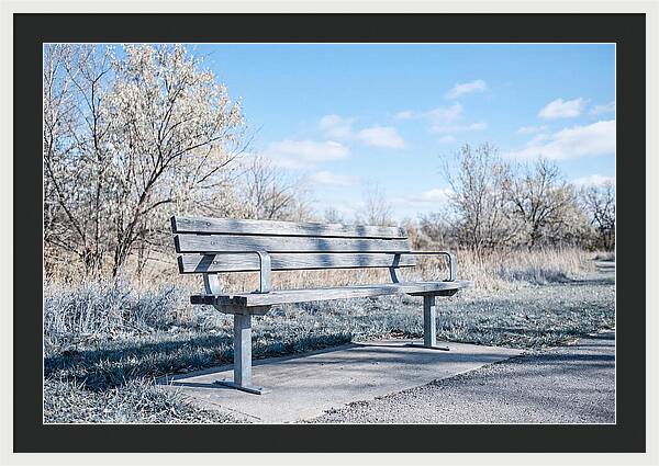 Serene Park Bench