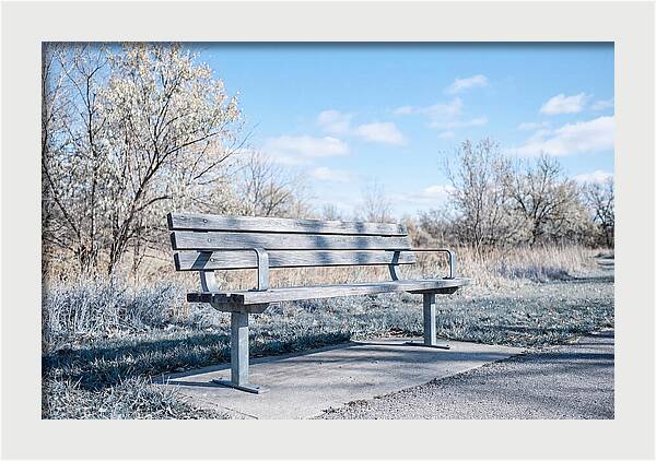 Serene Park Bench