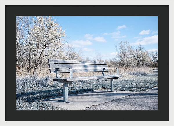 Serene Park Bench