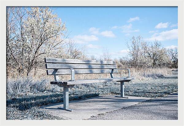 Serene Park Bench
