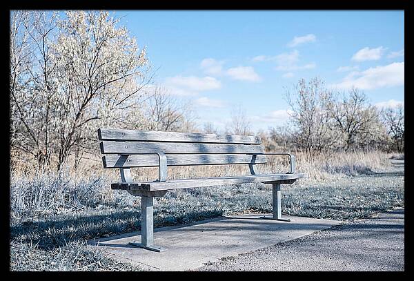Serene Park Bench