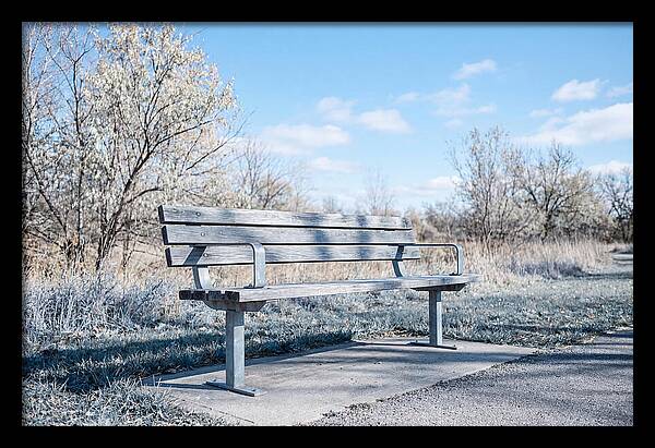 Serene Park Bench