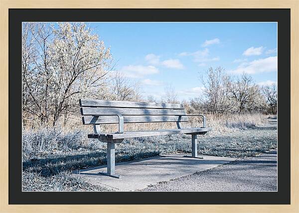 Serene Park Bench