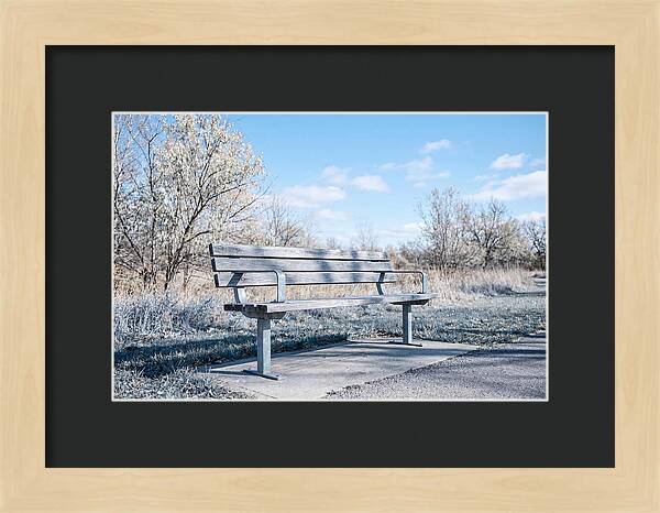 Serene Park Bench