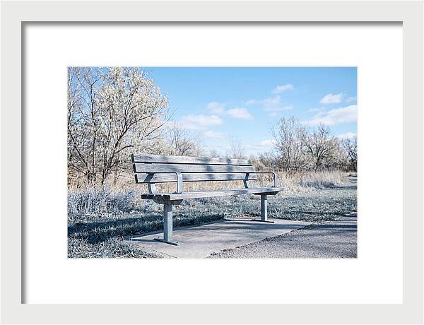 Serene Park Bench