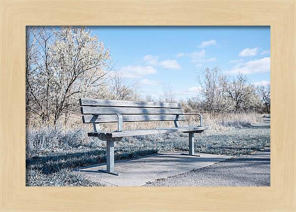 Serene Park Bench