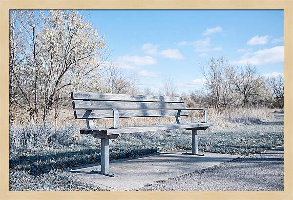 Serene Park Bench