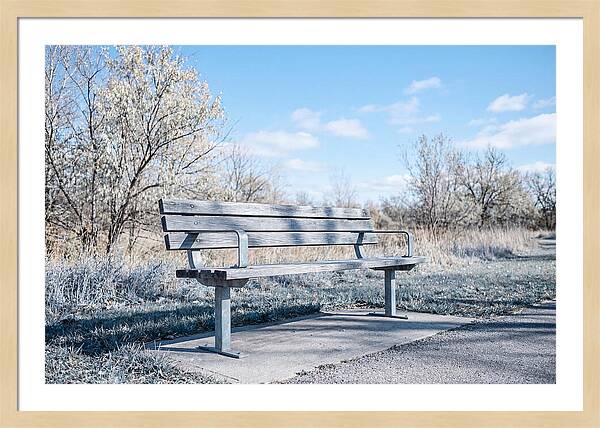 Serene Park Bench