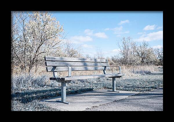 Serene Park Bench