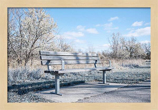 Serene Park Bench