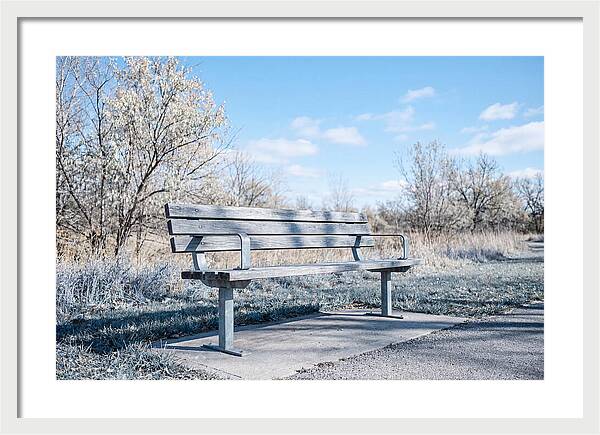 Serene Park Bench