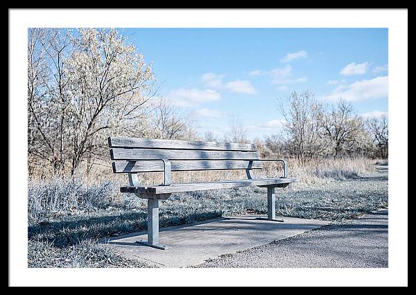 Serene Park Bench