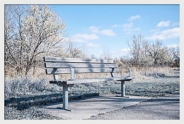 Serene Park Bench