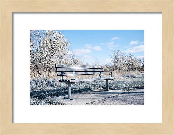 Serene Park Bench