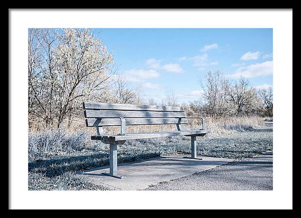 Serene Park Bench