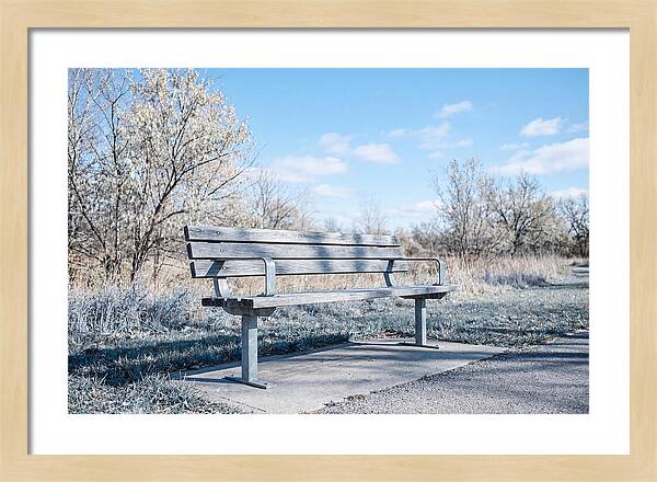 Serene Park Bench