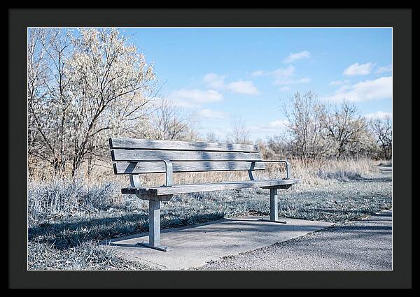 Serene Park Bench