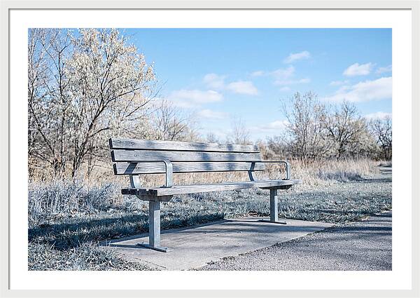 Serene Park Bench