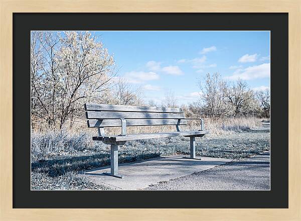 Serene Park Bench