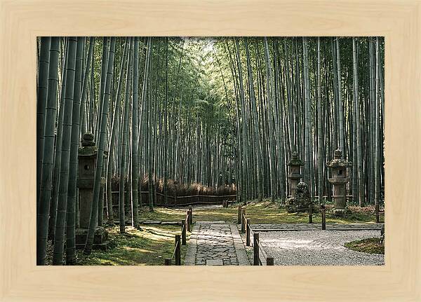 Serene Passage Through Bamboo Grove
