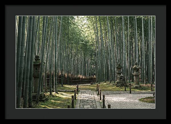 Serene Passage Through Bamboo Grove