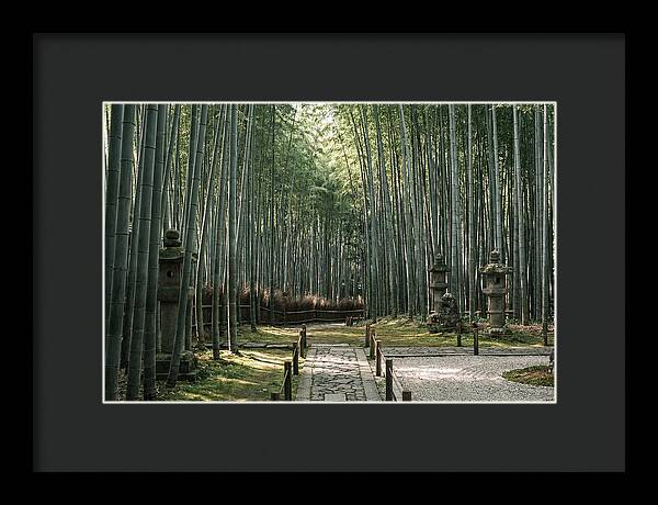 Serene Passage Through Bamboo Grove
