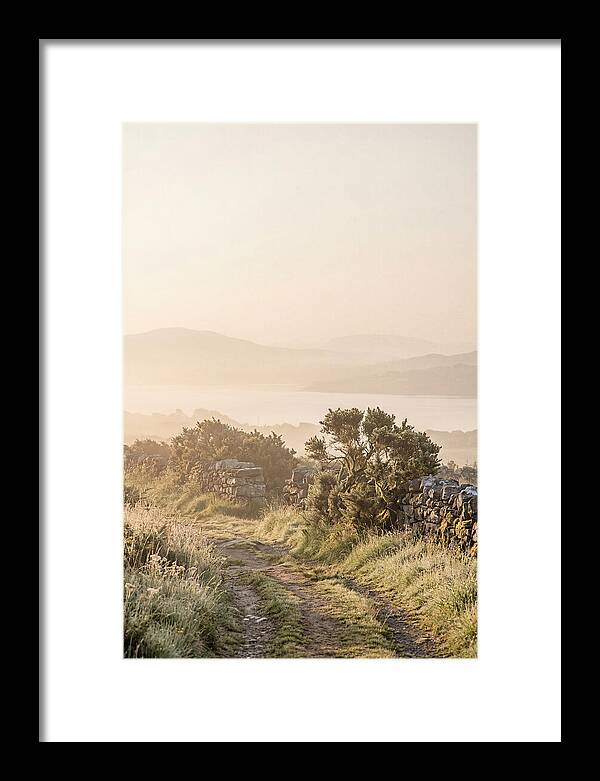 Serene Pathway Through Kerry