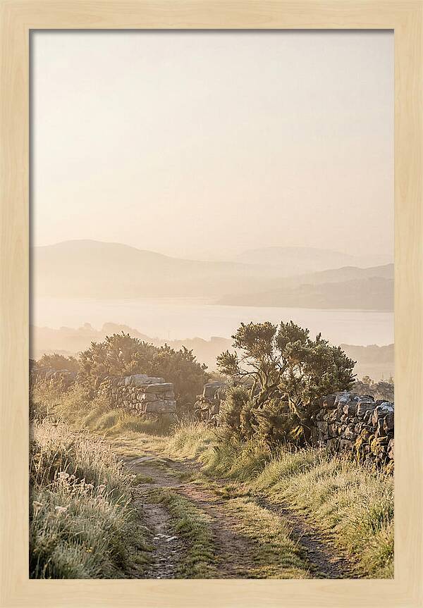 Serene Pathway Through Kerry
