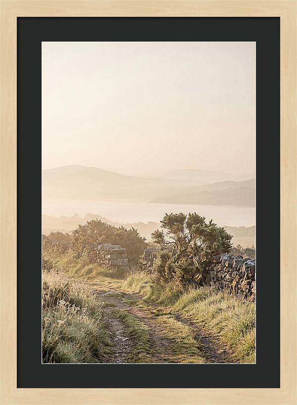 Serene Pathway Through Kerry