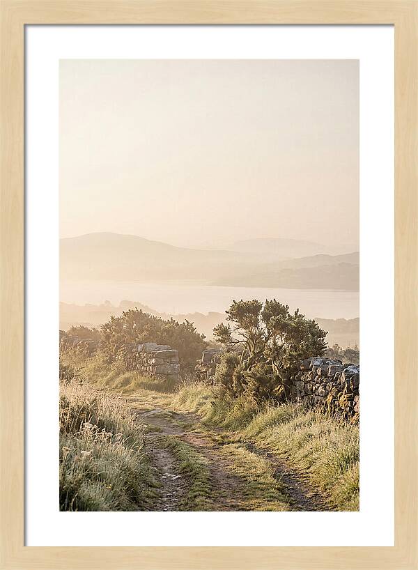 Serene Pathway Through Kerry
