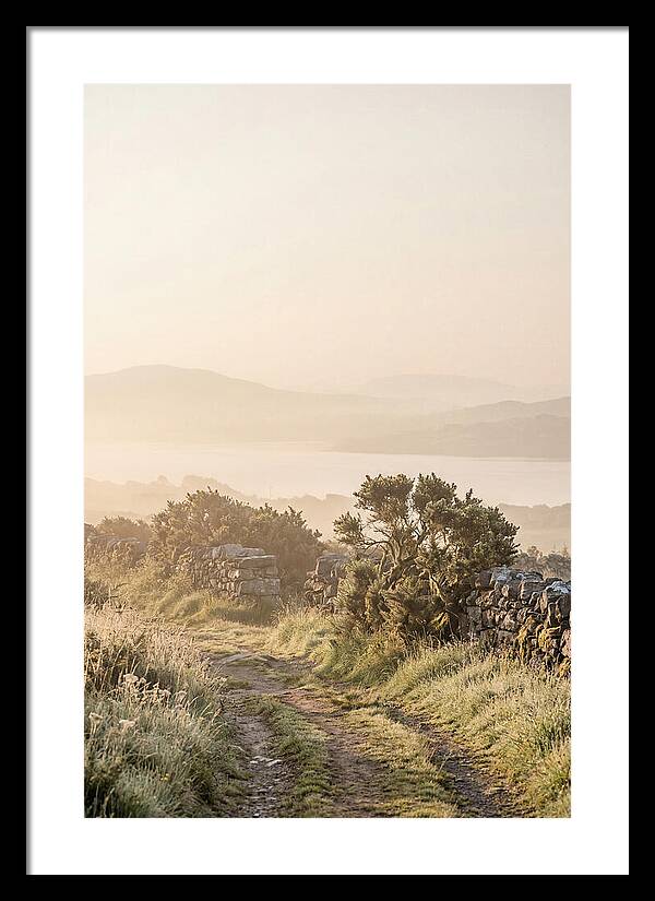 Serene Pathway Through Kerry