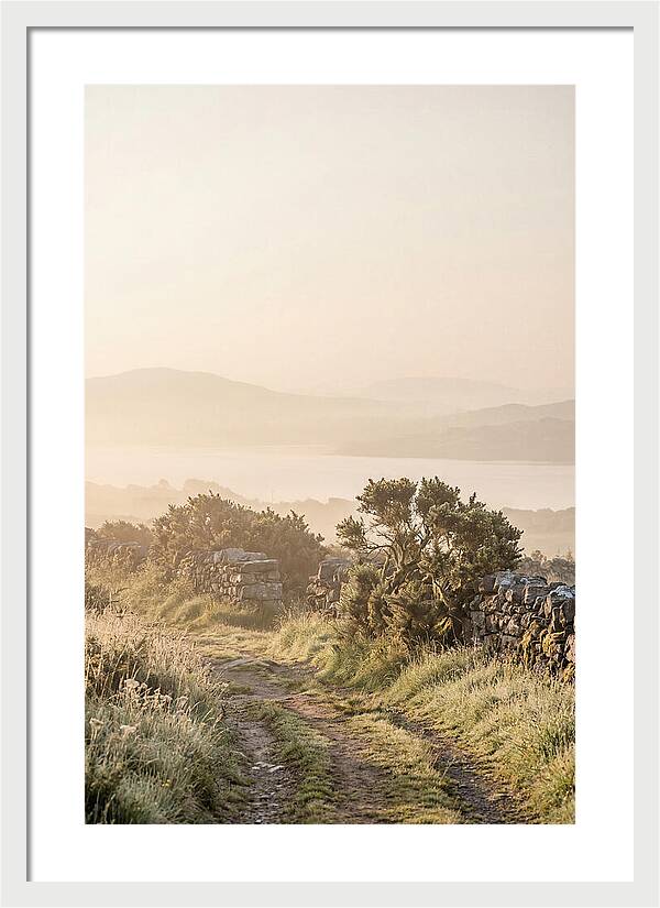 Serene Pathway Through Kerry